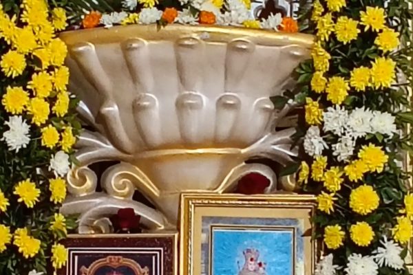 WhatsApp Image 2026-01-28 at 11.31.54 AM